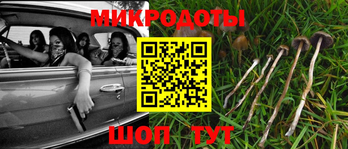 Галлюциногенные грибы мухоморы Красногорск
