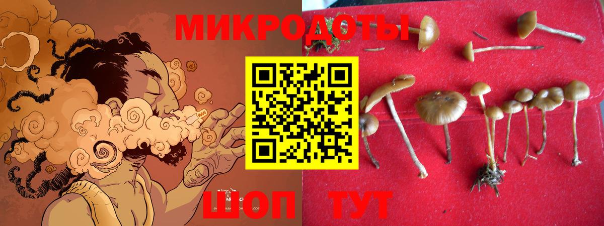 Красногорск  купить закладку  Вход с VPN  Псилоцибиновые грибы мицелий 